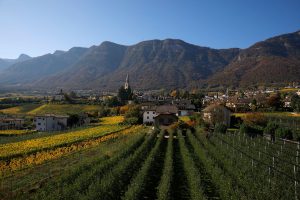 Featured image for “Erinnerungen vom Kaltern Pop Festival 2019: Sommerausklang in Südtirol”