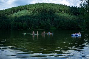 Featured image for “Fotostrecke: Sound of the Forest 2019”